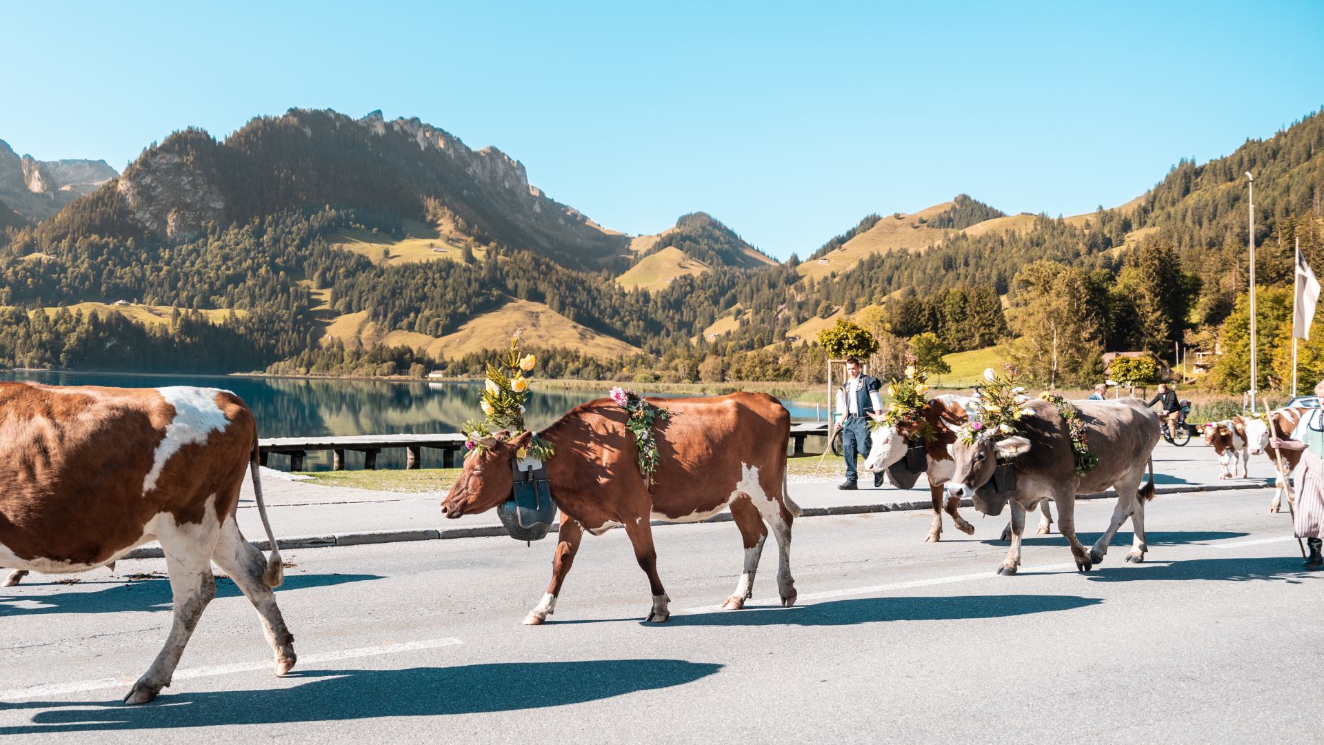 Schwarzsee_Ref.SC_21.09.24_102