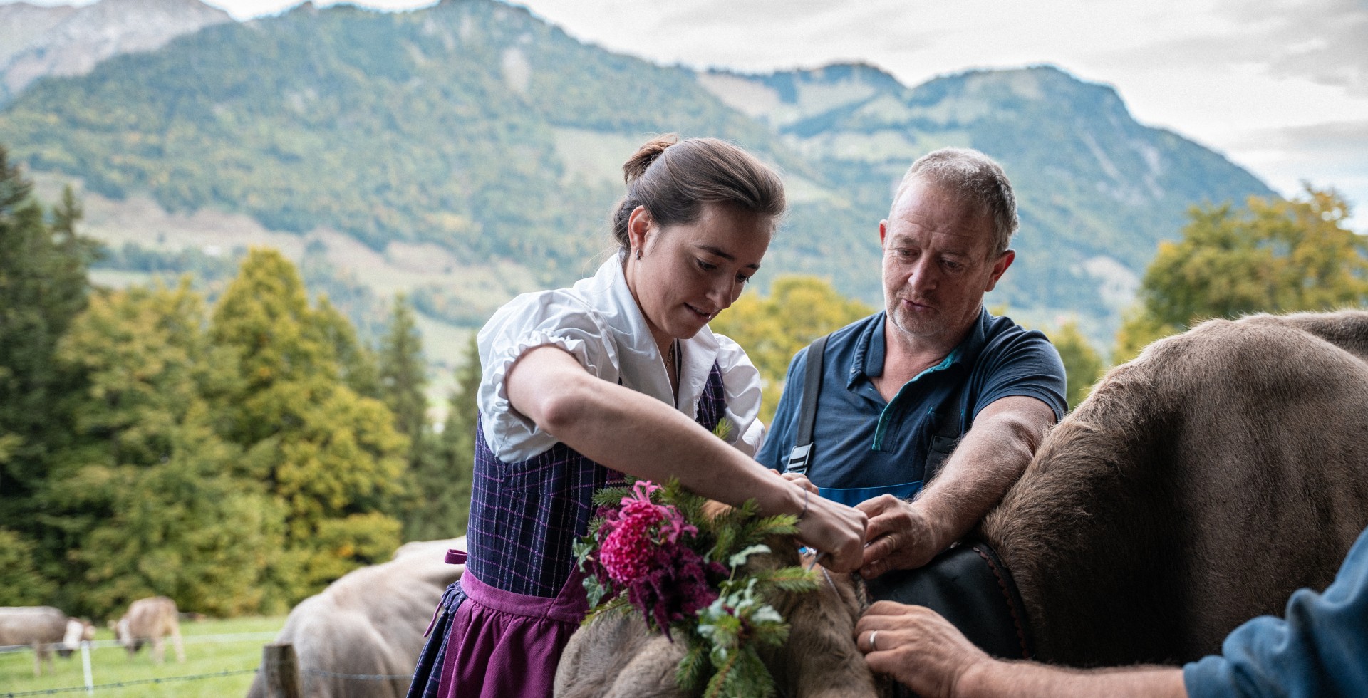 Mathilde Gremaud, ambassadrice de l’UFT, prépare le troupeau pour la désalpe